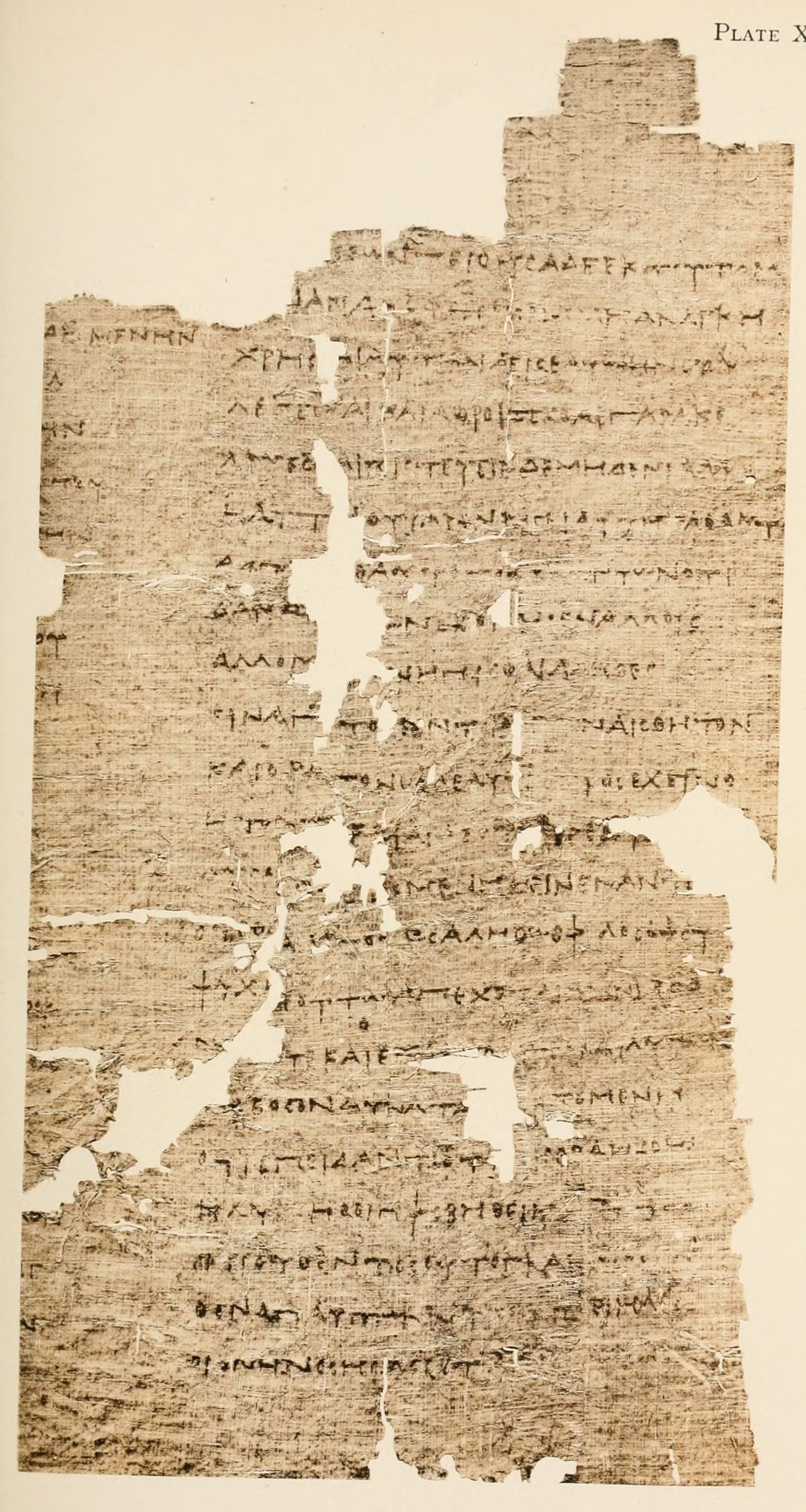 Olympiodoros, Phaidon Şerhi: Ruhun Arındırılması