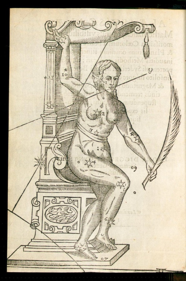 Göksel Makinenin Yeni Anatomisi