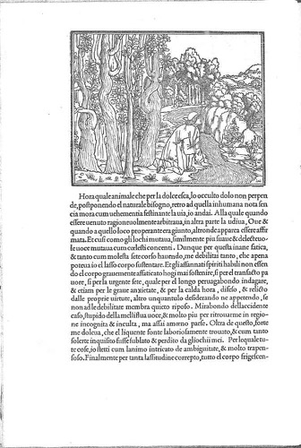 Poliphilo'nun Rüya Savaşı: Karanlık Ormanda
