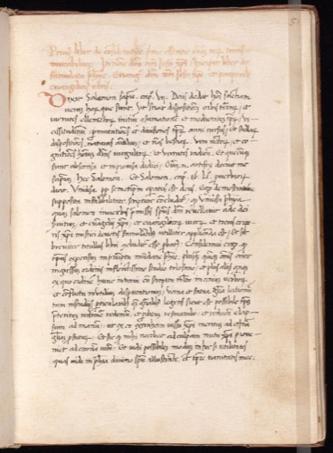 Beşinci Öz Üzerine